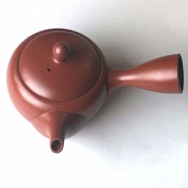 Landscape.com Tokoname Ware Teapot, 154i, Ceramesh, Vermilion, 8.5 fl oz (250 ml), Made in Japan