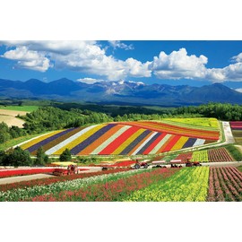 1000 Piece Jigsaw Puzzle, Four Seasons Colored Hills and Tokatake Rimine (Hokkaido) 19.7 x 29.5 inches (50 x 75 cm) 10-1422