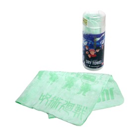 Aquasphere Aquasphere 231105 DryTOWEL, Green