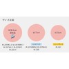 SASAKI M20AF Gymnastics Ball, F.I.G. (International Gymnastics Federation) Certified, Ice