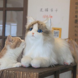 Chongker Plush Toy - Realistic Stuffed Ragdoll Cat - Best Gift Idea for Kids - Unisex Toy stuff animals catplushie