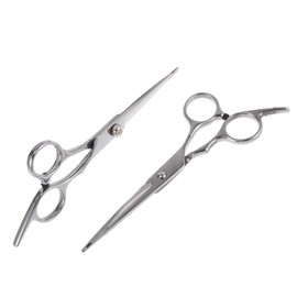 Baluue 2pcs Hairdressing Scissors Hair Salon Cutter Haircut Scissor Hair Styling Tools Silver