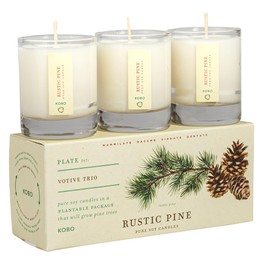 KOBO Rustic Pine Votive Trio - 3 Scented Candles with Plantable Box, 2.3 oz Each - Rustic Pine Scented Candle - 100% Pure Soy Wax Candles Gift Set - Hand-Poured in USA - Long-Lasting 15 Hour Burn