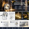 10W LED Landscape Spotlight for Ponds – 12V Stainless Steel