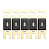Offgridtec 60A 72V ANL Fuse DIN43560/1 Set of 5