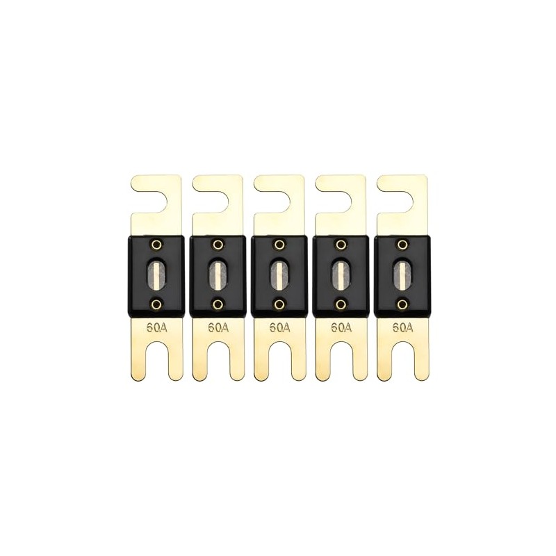 Offgridtec 60A 72V ANL Fuse DIN43560/1 Set of 5