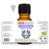 LavendelÖlBio Ätherisches Öl 100% Reines 30 ml - Aromatherapie Kosmetik
