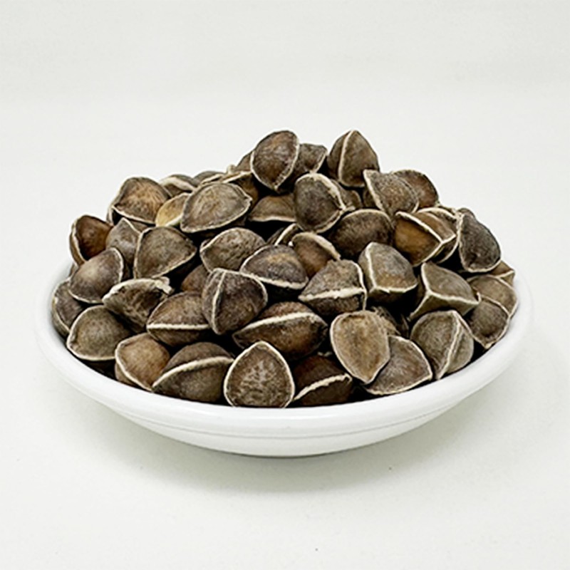 DABC OAK LAND Premium Moringa Seed, Premium Dry Goods, Edible