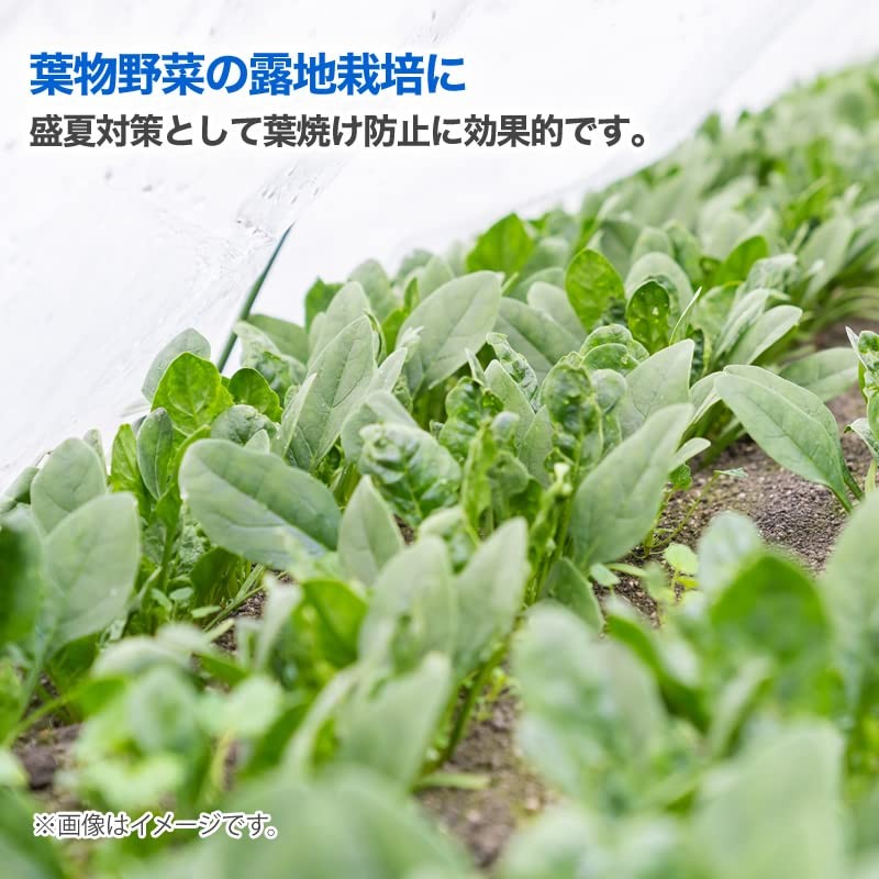 Dio Kasei DioCool White 620SW 45% 2 x 2m White