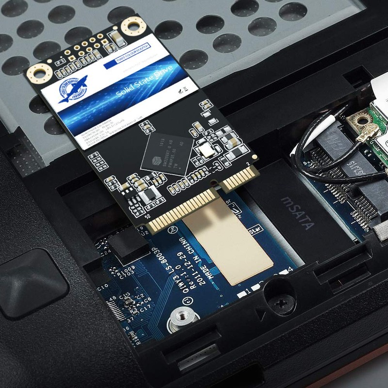Dogfish Msata - Disco SSD interno (32 GB, SATA)