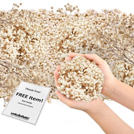 Dried Flower Baby's Breath Biodegradable Confetti - Flower Petals for Weddings, Flower Girl Toss, Wedding Send Off Ideas, Party Table Decoration | Boxed - 250grams