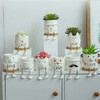 DIYOMR Smooth Glazed Ceramic Planter with Hanging Leg, Cute Cartoon