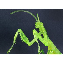 Fujimi Model Free Research Series No. 23 EX-2 Ikimono Edition Wolf Mantis (Clear Green) Free Research-23 EX-2