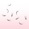 FADVAN Eyelashes Extension Volume Eyelashes Bunch 20D 0.07D Curl 15-20mm