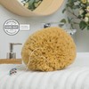 Natural Sponges with Cord & Glass Pendant - Unbleached Mediterranean
