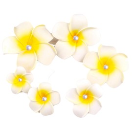 6Pcs Hawaii Plumeria Flower Clips Pearl Hawaiian Flower Hair Barrettes Beach Party Hair Clips Artificial Tropical Flower Hairpins for Wedding, Hair Clips (5cm&7cm)