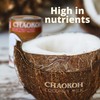 Chaokoh Coconut Milk 24 Pack - Creamy Non Dairy Milk,