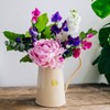 Haws All-Round Jug, 0.6 gal (1.8 L) Cream