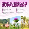 Milk Thistle Tablets - High Strength 4000mg Supplement - 180
