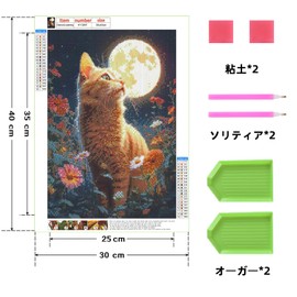 Fluid dragon Diamond Art 5D Mosaic Art Diamond Bead Painting Kit DIY Handmade Painting Craft Kit Diamond Painting All Over Type Craft Kit (257)