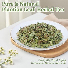 FullChea - Plantain Leaf Tea, 4oz/114g - Plantago Major Herbal Tea - Non-GMO - Caffeine-free - Support Respiratory Health & Aids Digestion