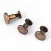 20Pcs Chicago Screw Posts for Leather, Flat Leather Rivets Assortment