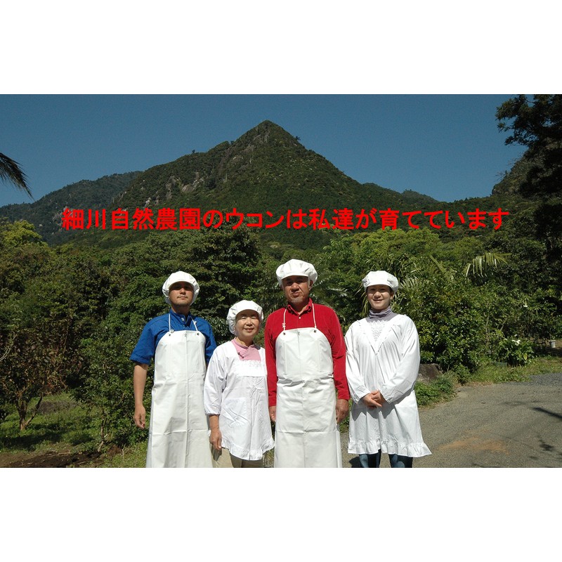 ガジュツ粉末お得セット (屋久島産 紫ウコン100g×2袋)