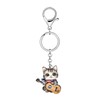 DUOWEI Acrylic Cute Patriotic Cat Keychain Key Ring 4th of