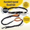 Hundefreund Jogging Lead for Large Dogs from 15 kg, Elastic