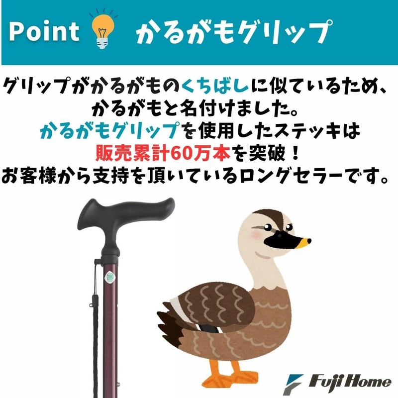 Fuji Home Karugamo E Folding Stick, Black