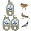 (3pcs) Mousetraps Bird Traps Used to Catch mice Sparrows Small