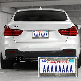 Swono Forest Camouflage License Plate Frame Conifer and Oak Branches and Leaves License Plate Cover Aluminum Metal License Plate Holder Frame for Women Men Auto Decoration for US Car/Truck