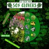 No-Till Cover Crop 13-Seed Mix: 50% Clovers Plus Fenugreek, Vetch,