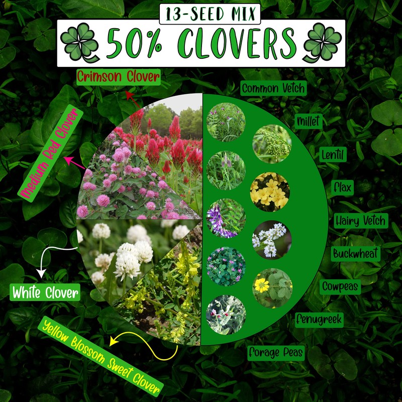 No-Till Cover Crop 13-Seed Mix: 50% Clovers Plus Fenugreek, Vetch,
