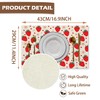 Red Cute Kids Fruit Strawberry Placemats Set of 4, Table