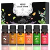 MISIJI Fruit Diffuser Oils Set 6 Scents