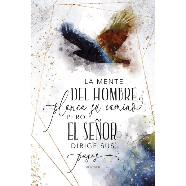 La Mente Del Hombre - Proverbs 16:9 A Man's Mind