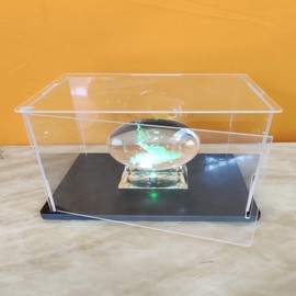 Clear Acrylic Display Case Assemble Opening Door, Thickened Base, Dustproof Protection Showcase for Action Figures, Toy Collectibles (25 x 10 x 14.5 cm/10 x 4 x 5.7 inches)