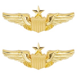 SUPERFINDINGS 2 Stück Flügelnadel Goldenes Flügelpilotenabzeichen Pilotenkostüm Anstecknadel Legierungsbrosche Luftwaffenflügelnadeln Metallfliegerbrosche Für Hut Hemd Jacke Uniformkostüm
