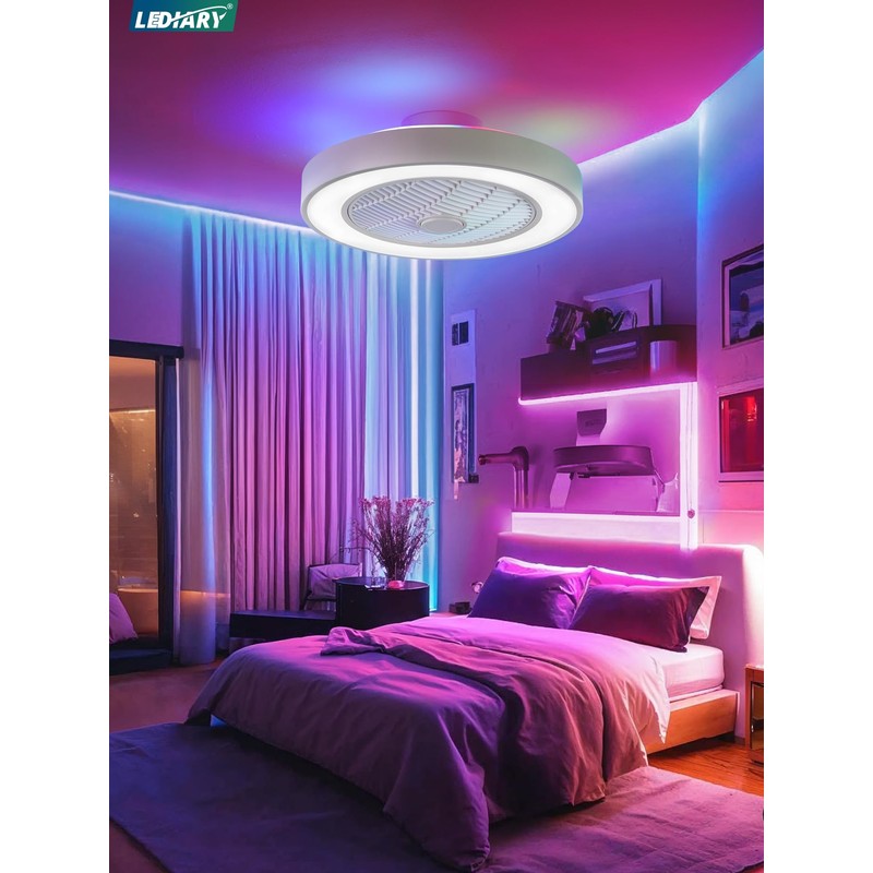 LEDIARY 20 Inch Low Profile Ceiling Fans with Lights, Led