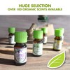 Healing Solutions Tea Tree Essential Oil 0.33 oz (10ml) –