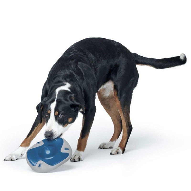 HUNTER Hundespielzeug Sansibar Morsum Frisbee blau/grau, 22 cm