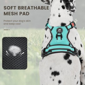 FURRYFECTION Dog Harness | No Pull Dog Harness | Reflective Oxford | Padded Handle | 4 Adjustable Straps | 2 Leash Clips | No Choke Pet Vest Harness for Small Medium Large Dogs | Turquoise | S