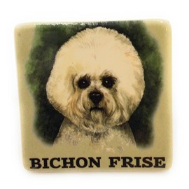 Bichon Frise Dog Puppy Fridge Magnet.6x6x6 cm. Decoration, Magnet, Kitchen. Dog Lover, Dog Mum/Dad Gift. Birthday, Christmas, Stocking Filler