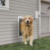 Baboni Pet Door for Wall, Steel Frame and Telescoping Tunnel,