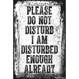 Please Do Not Disturb I Am Disturbed Enough Already Poster