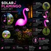 Solar Flamingo Garden Lights for Outdoor Decor – IP65 LED
