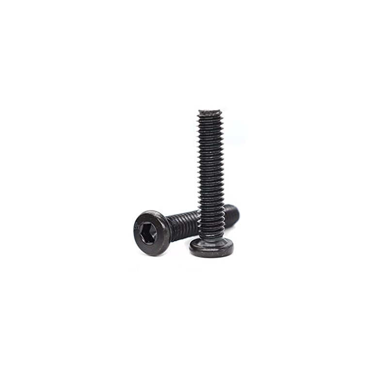 binifiMux 10-Pack Black 5/16-18 x 1 Inch Black Hex Socket