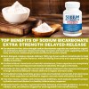 Kidney Restore Sodium Bicarbonate Capsules 1300mg – Extra Strength, 120