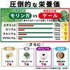 本然農園 モリンガ青汁 RESCUE 健康青汁 粉末 マンジェリコン 自然派 ナチュナル 大麦若葉 食物繊維